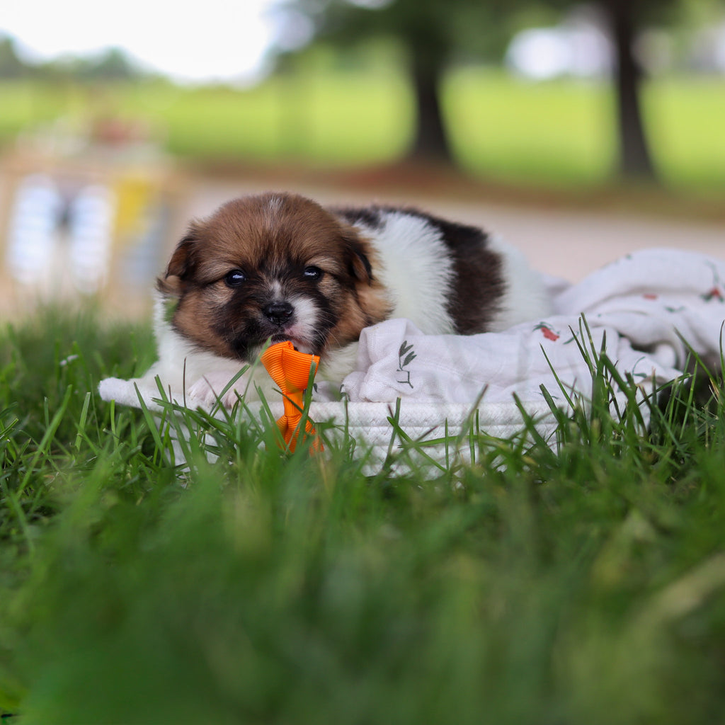 Andy - Available 7/9