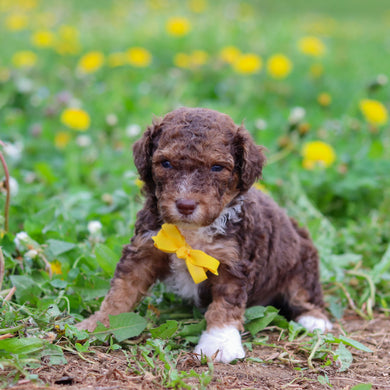 Reign - Available 5/21