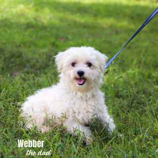 Mariah - Available 1/8