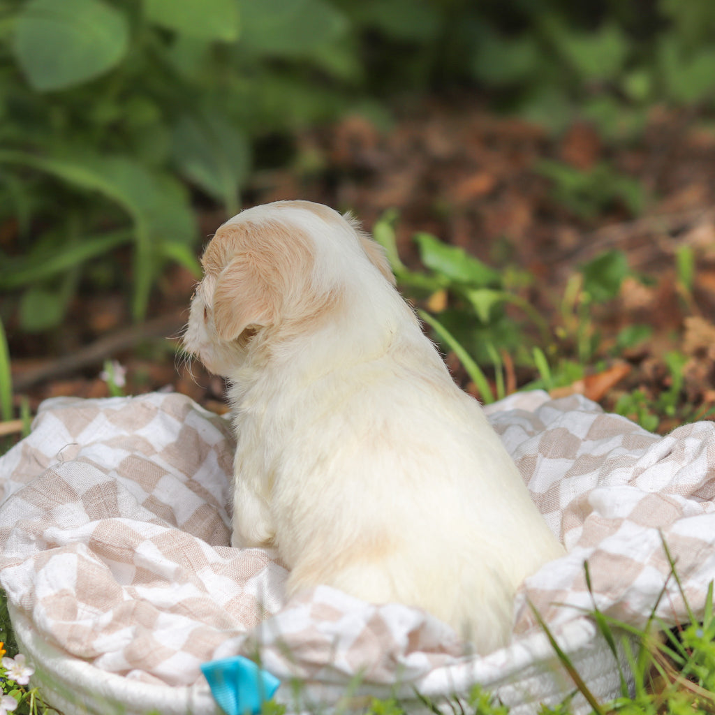 Darwin - Available 6/11