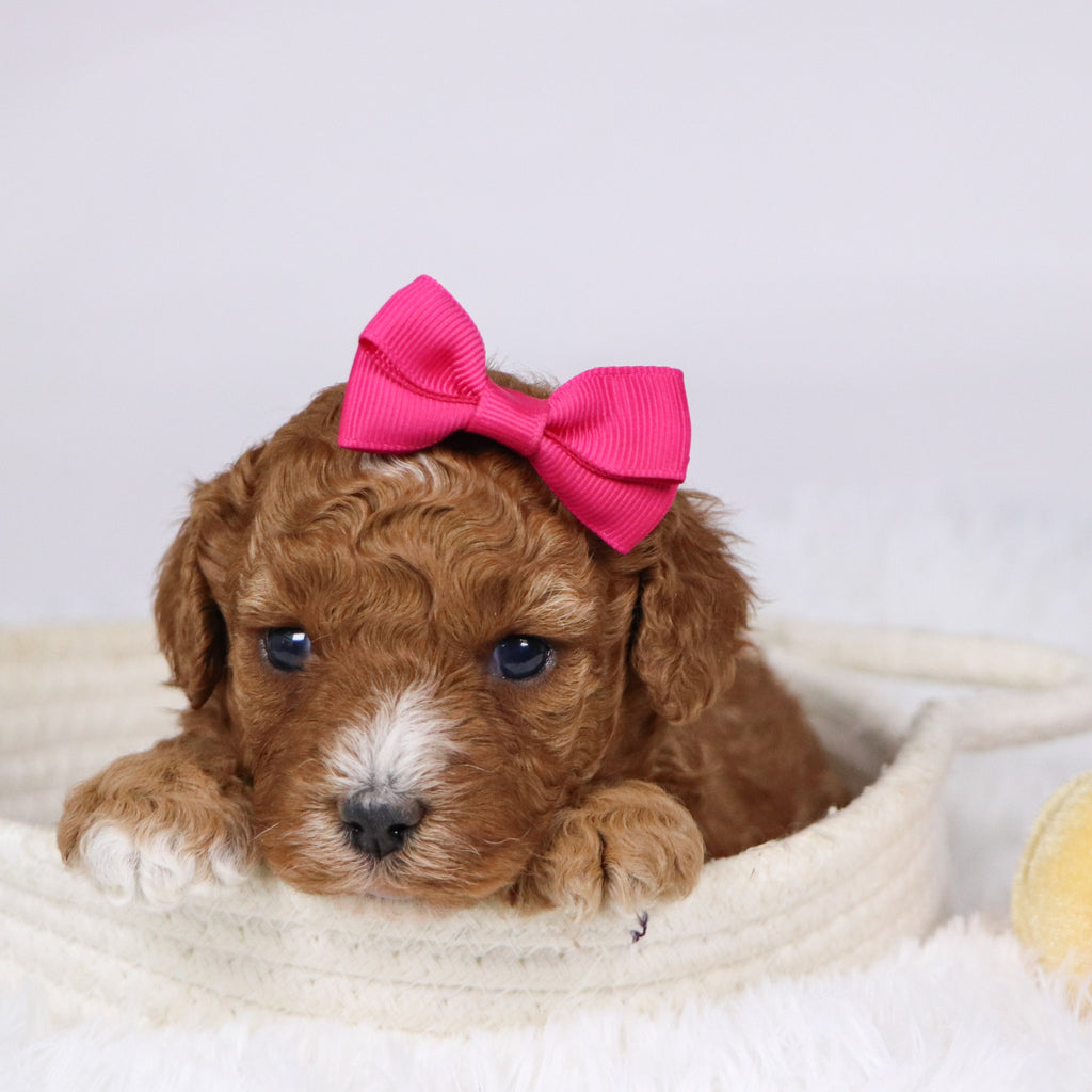 Mildred - Available Now