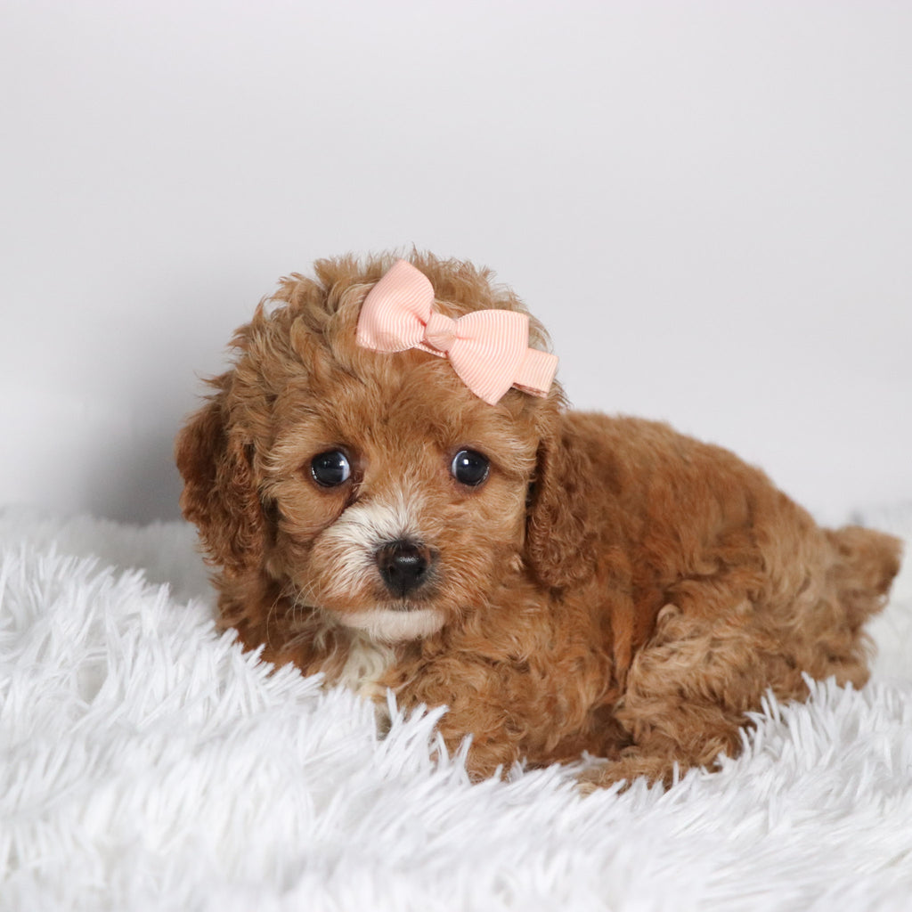 Theresa - Available 10/15