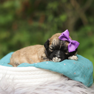Sallie