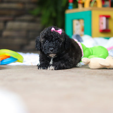 Debbie - Available 8/6