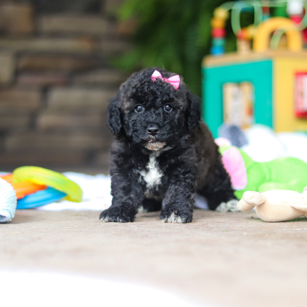 Debbie - Available 8/6