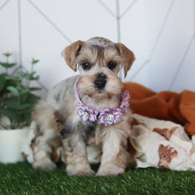 Kendra - Available 2/18