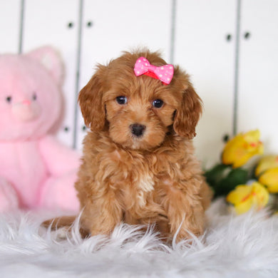 Flora - Available 4/23