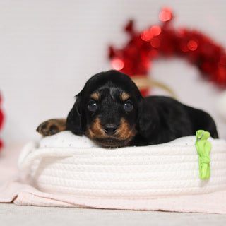 Oakley - Available 3/5