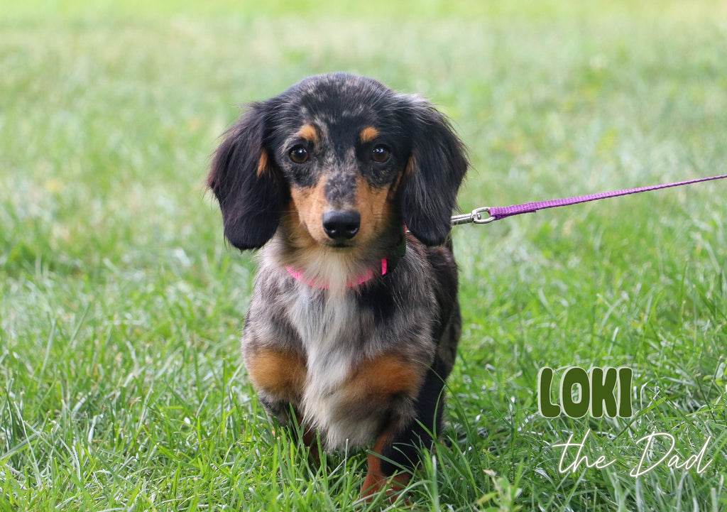 Samantha - Available 1/14