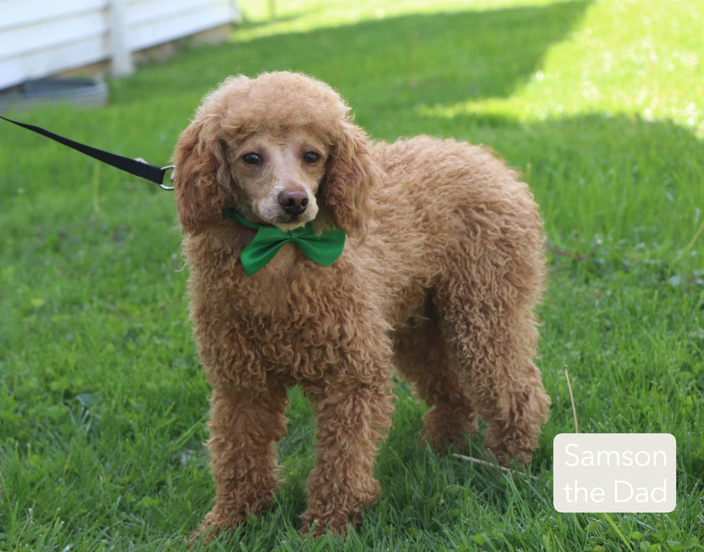 John - Available 12/17