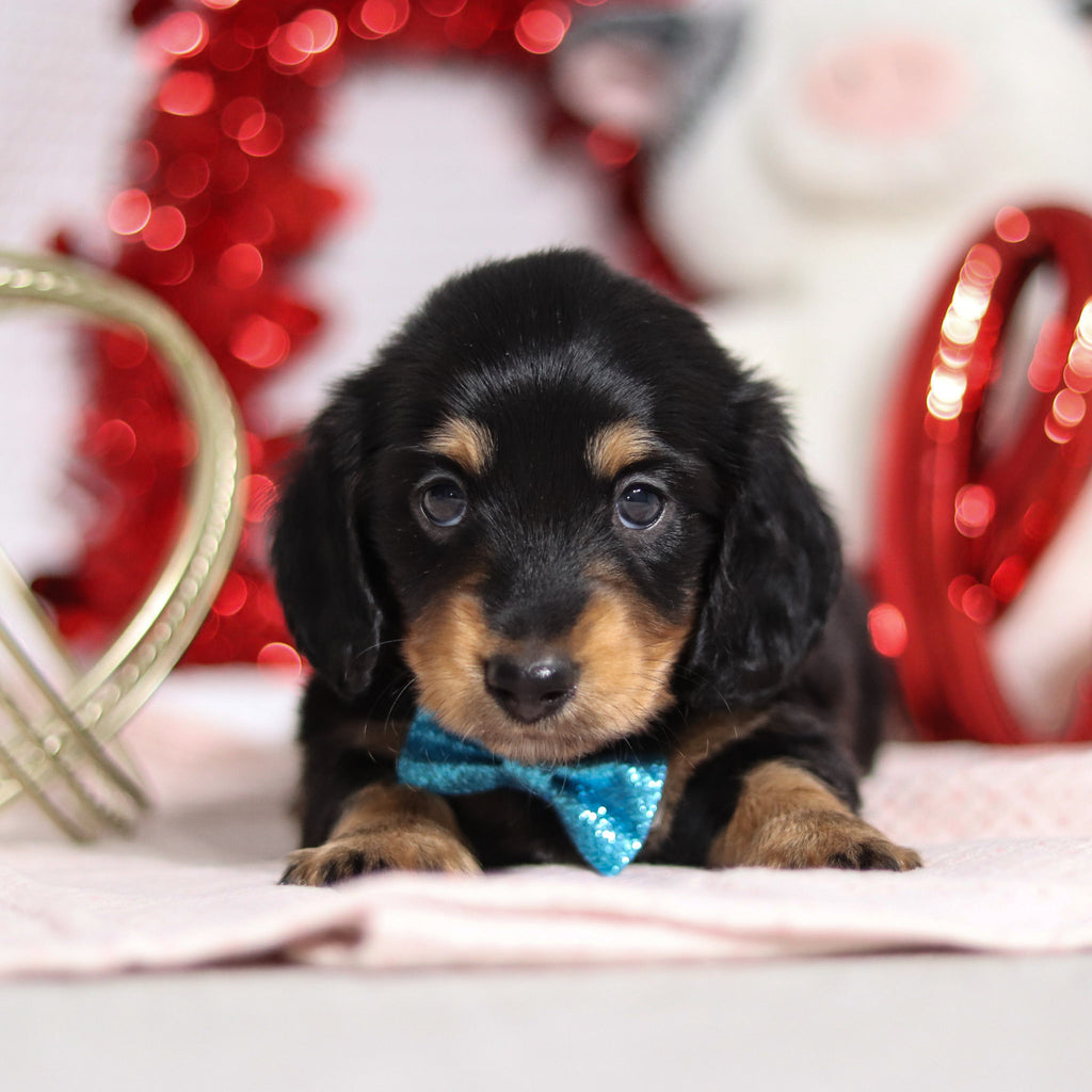 Boots - Available Now