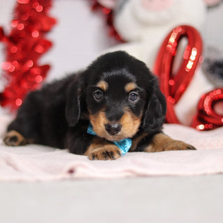 Boots - Available Now