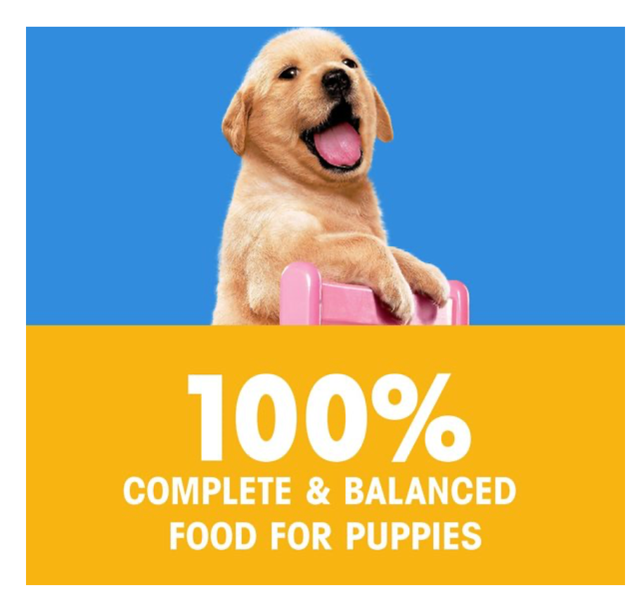 3lb Pedigree Puppy Growth & Protection - Dry Dog Food