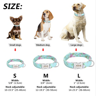 Printed Puppy Collar