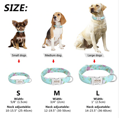 Printed Puppy Collar