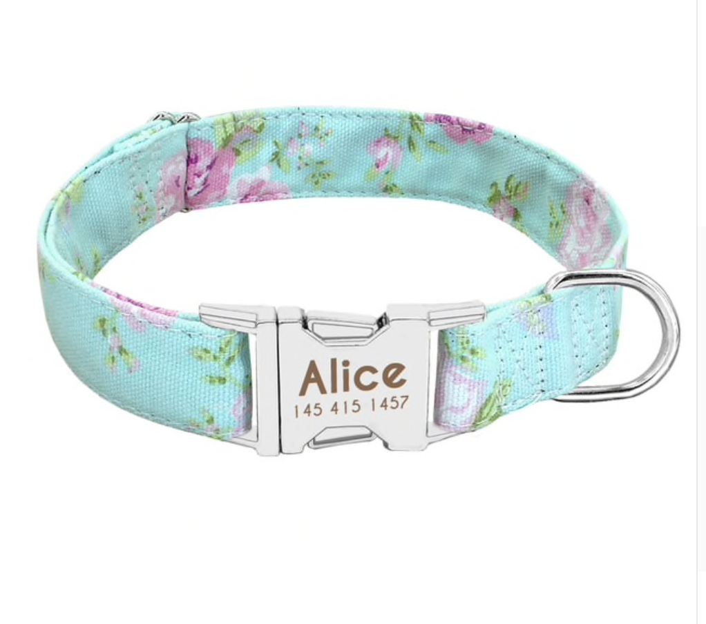 Printed Puppy Collar