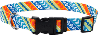 Printed Puppy Collar