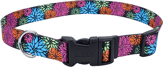 Printed Puppy Collar