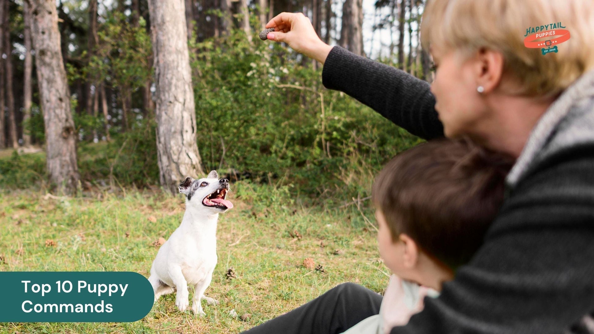 Top 10 Basic Commands Every Puppy Should Learn