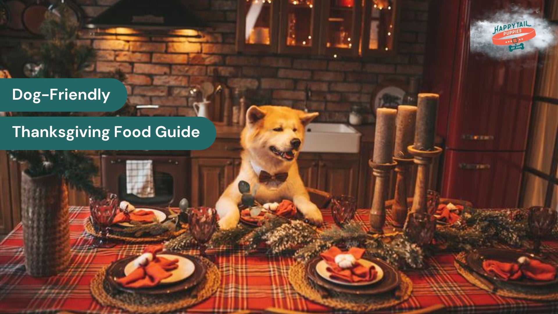 Dog-Friendly Thanksgiving Food Guide