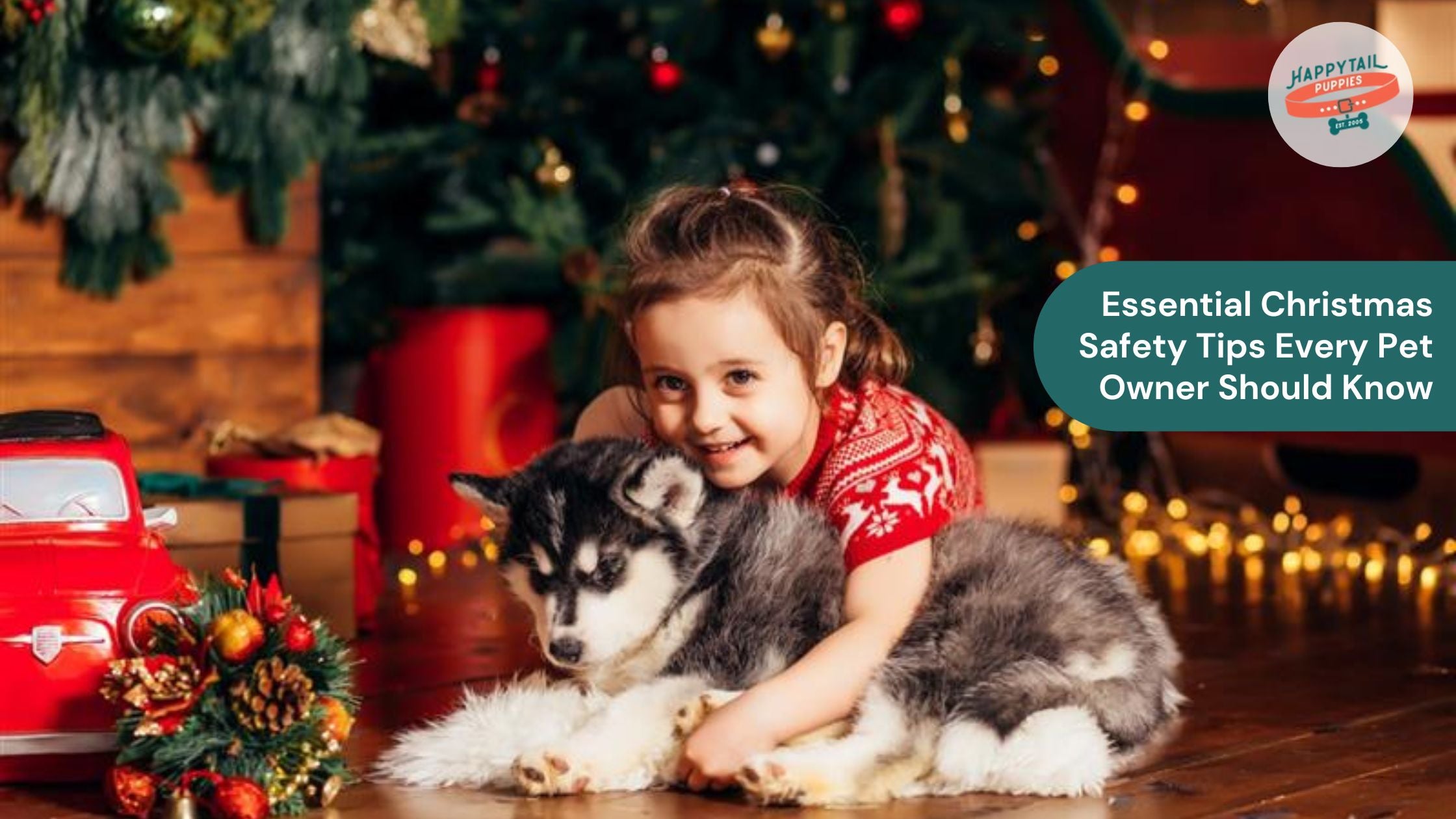 Essential Christmas Safety Tips Every Pet Owner Should Know