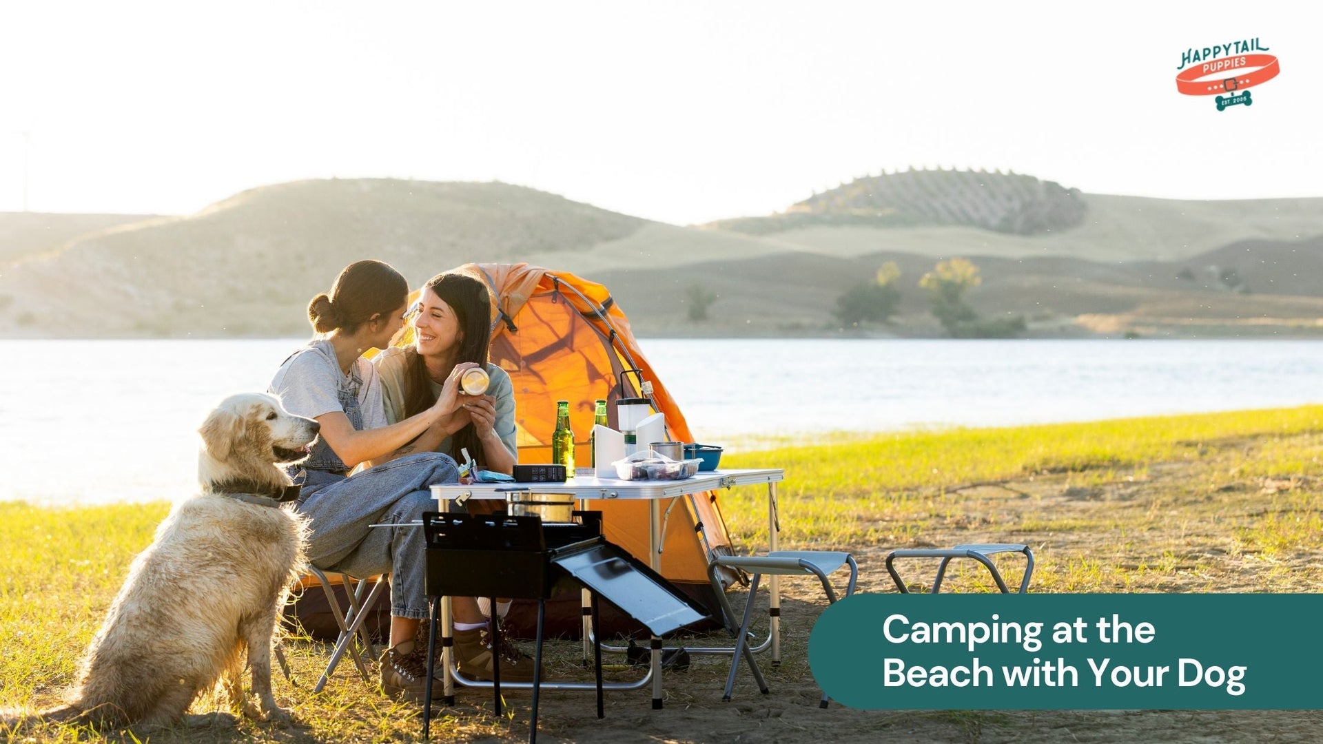 Camping at the Beach with Your Dog: A Beginner’s Guide