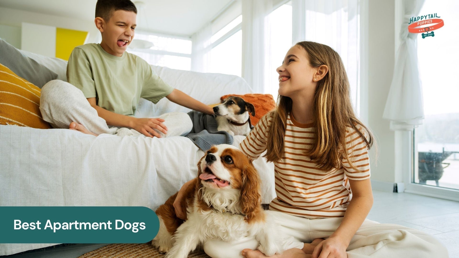 Best Apartment Dogs: Breeds That Don’t Mind Small Spaces