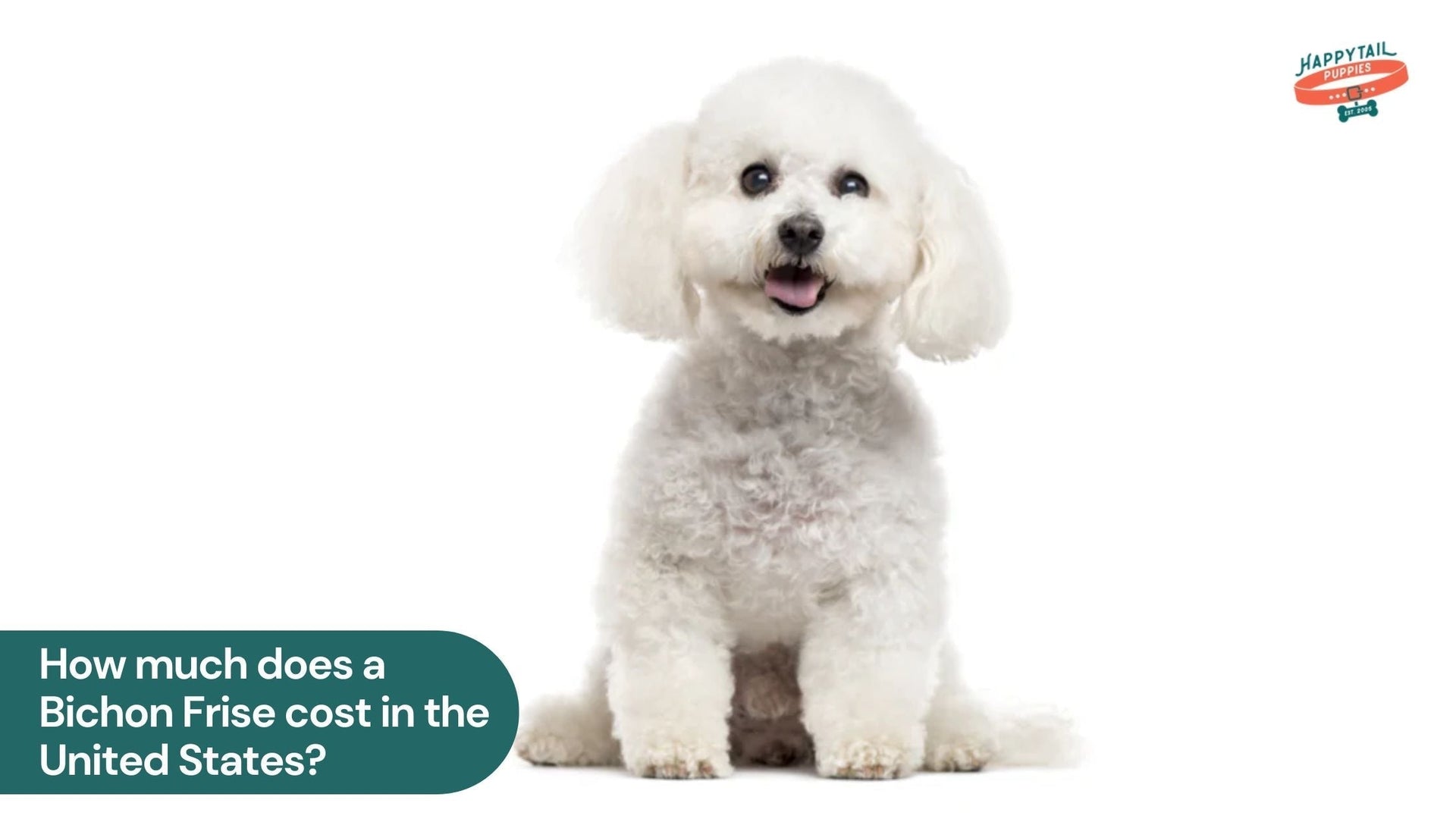How much does a Bichon Frise Cost in the United States?