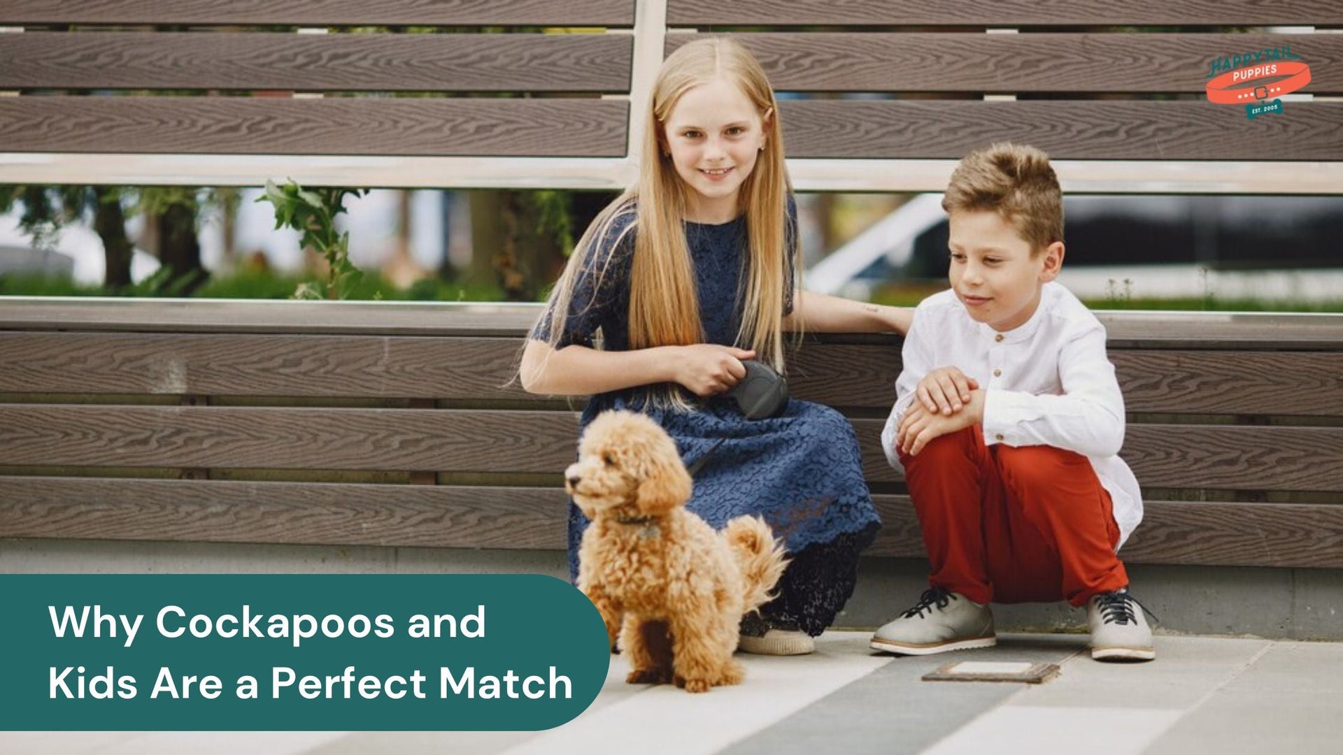 Cockapoo Puppies and Kids: Why They Make a Perfect Match