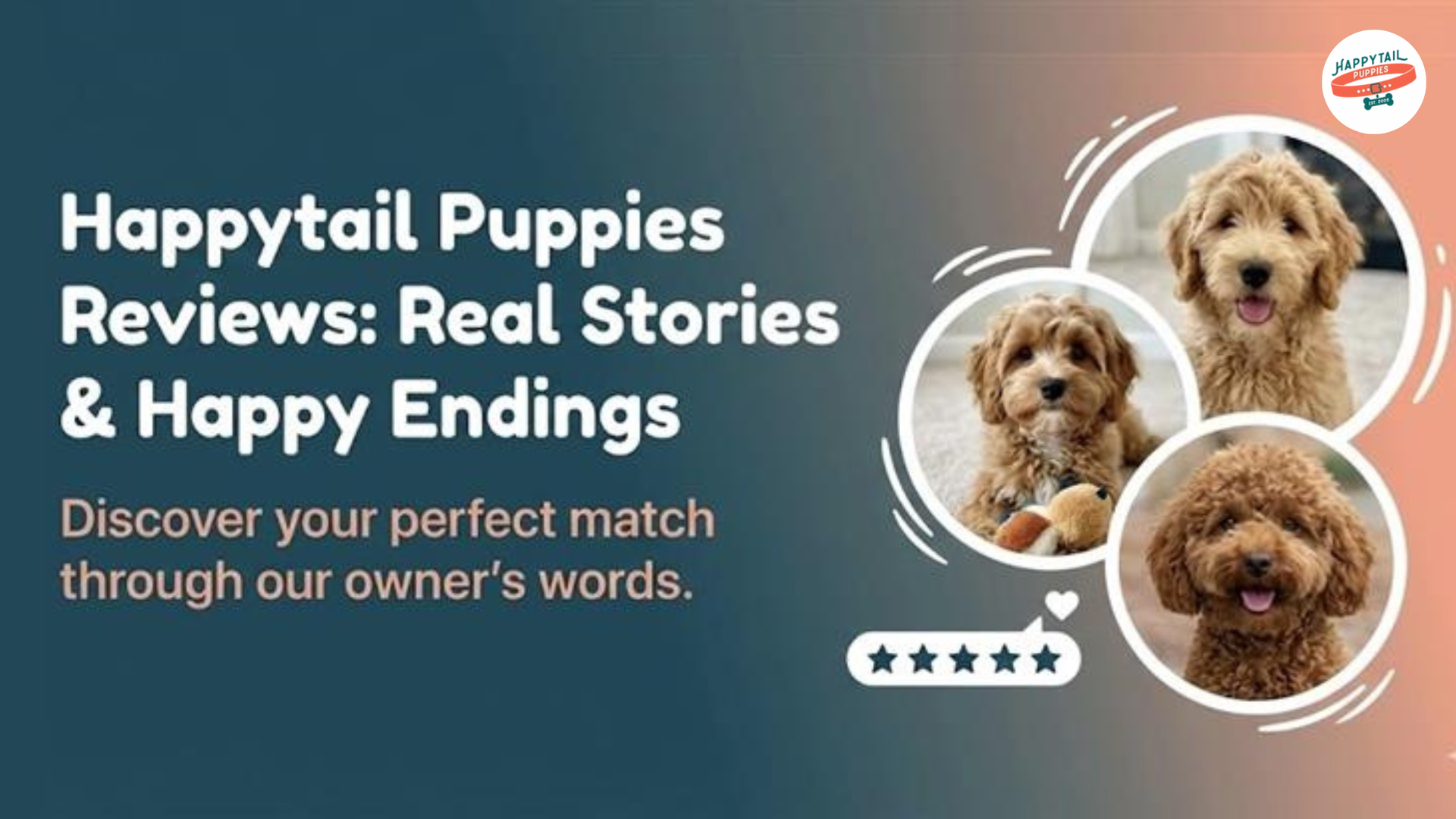 Happytail Puppies Reviews: Real Stories From Families Who Found Their Perfect Puppy