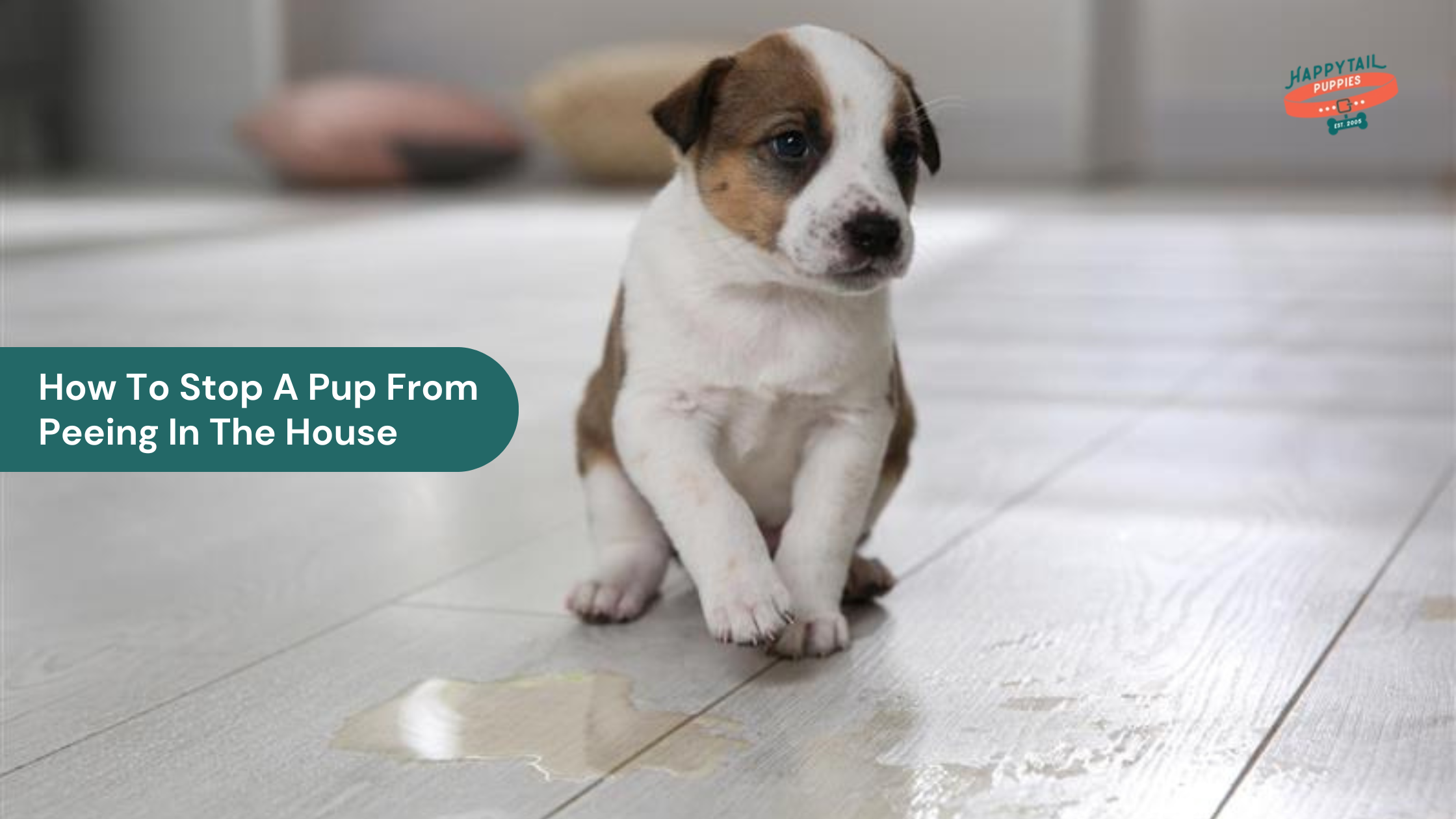 How To Stop A Pup From Peeing In The House