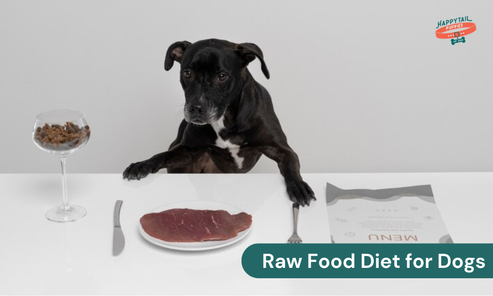 Raw Food Diet for Dogs