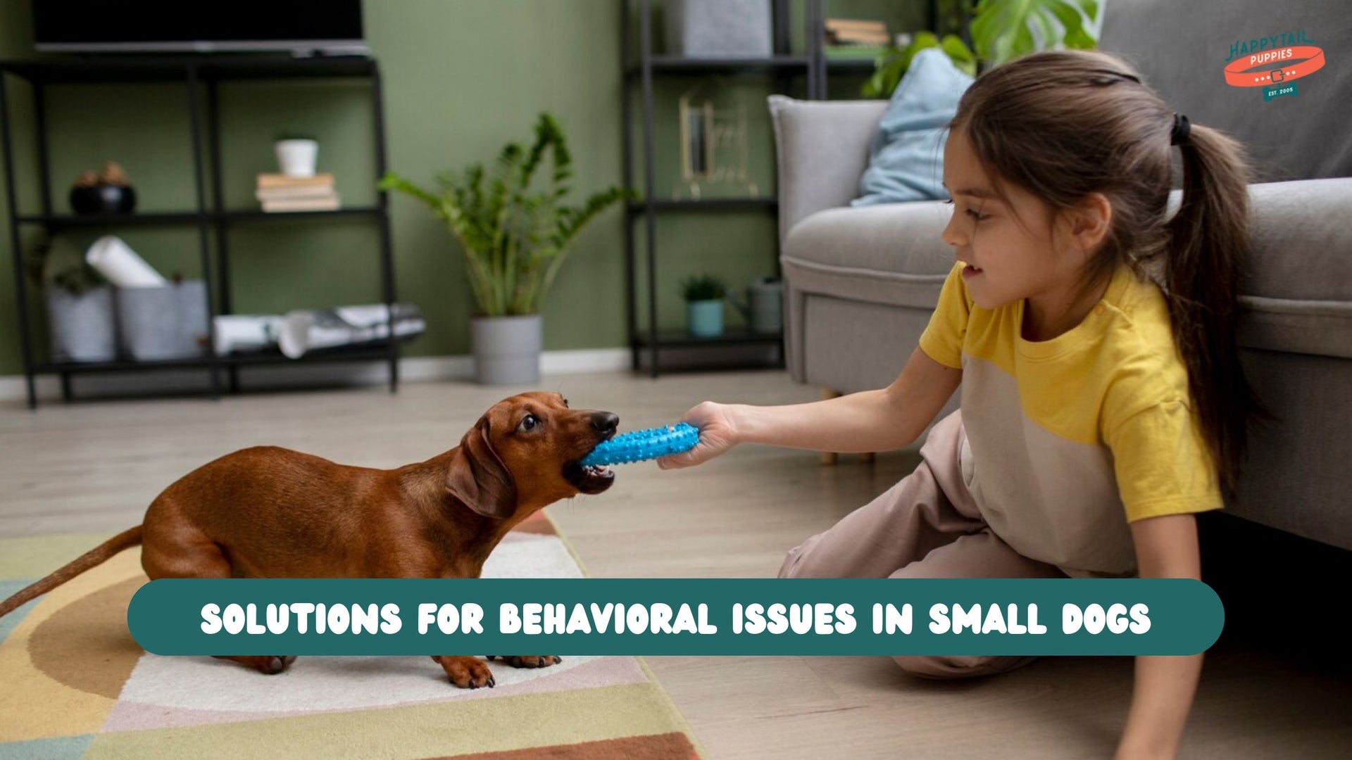 Solutions for Common Behavioral Issues in Small Dogs