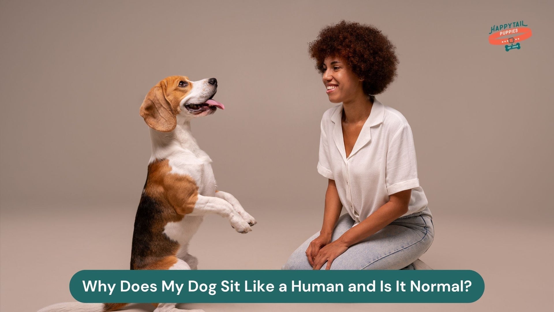 Why Does My Dog Sit Like a Human and Is It Normal?