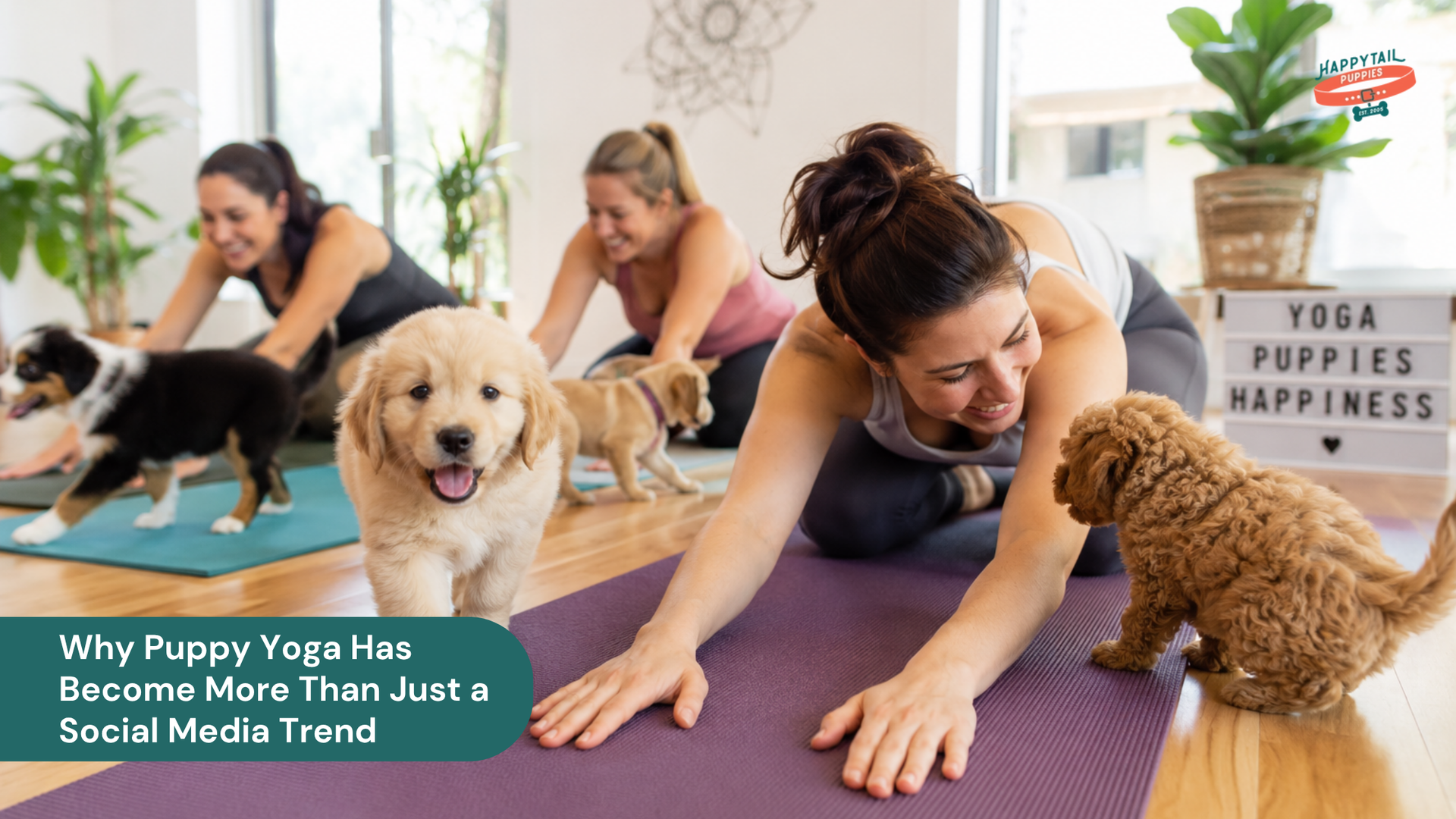 Why Puppy Yoga Has Become More Than Just a Social Media Trend