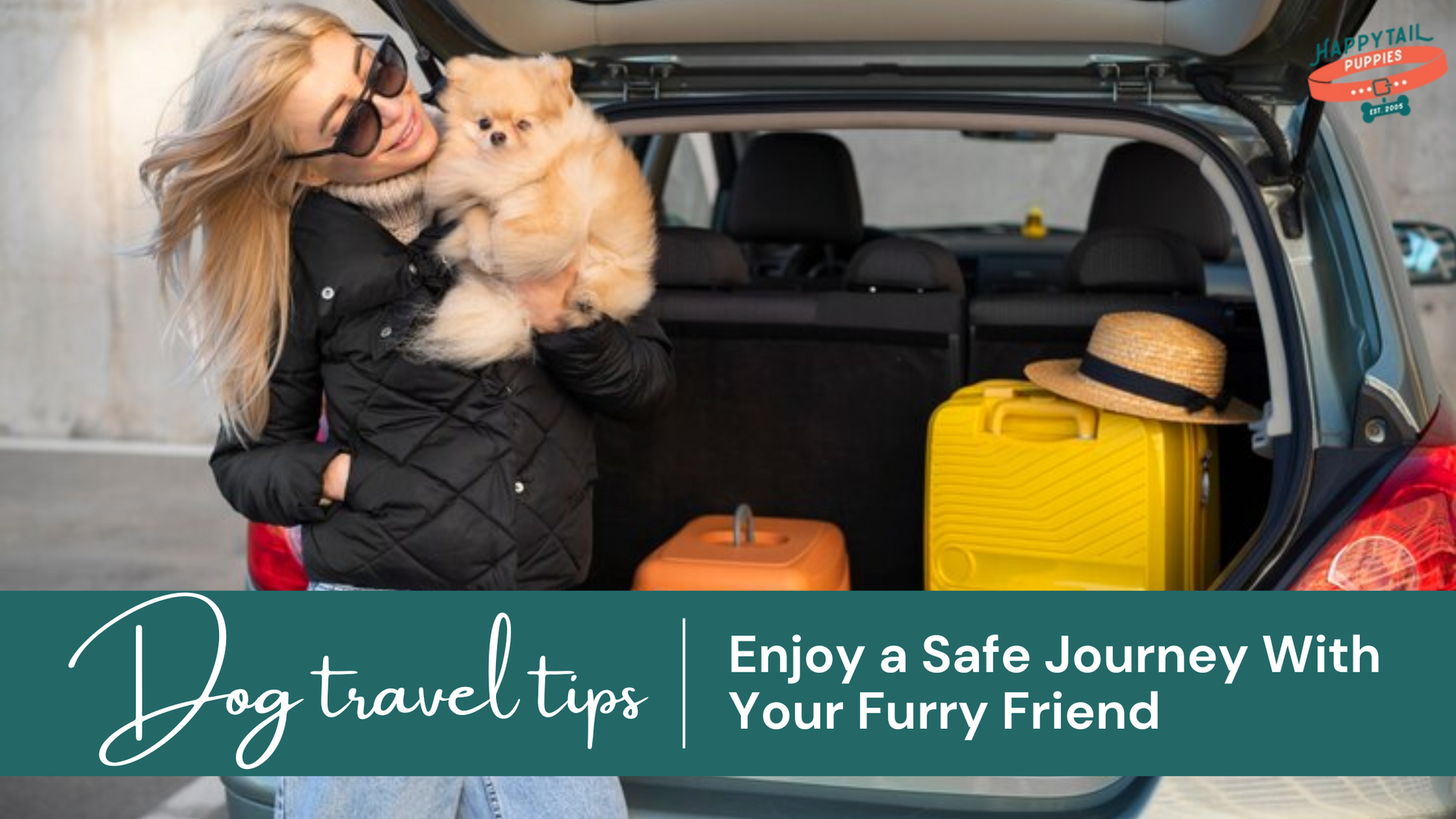 Dog Travel Tips: Have a Safe and Enjoyable Journey with Your Furry Friend