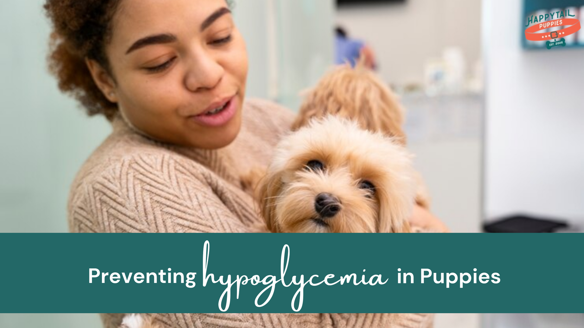 Preventing Hypoglycemia in Puppies