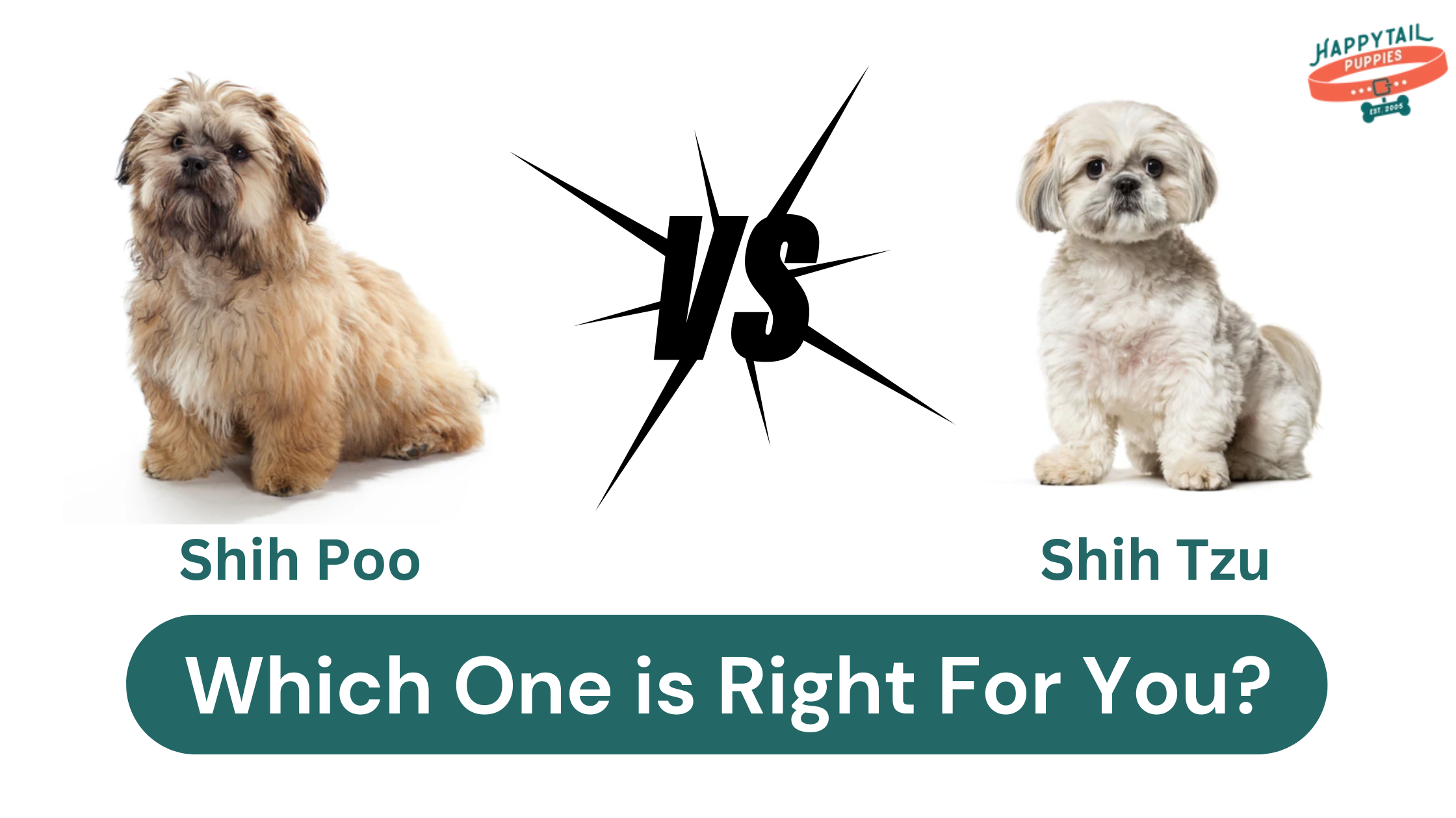 how many puppies do shih tzus normally have