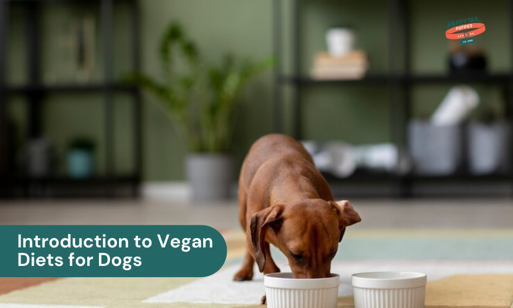 vegan diet for dogs