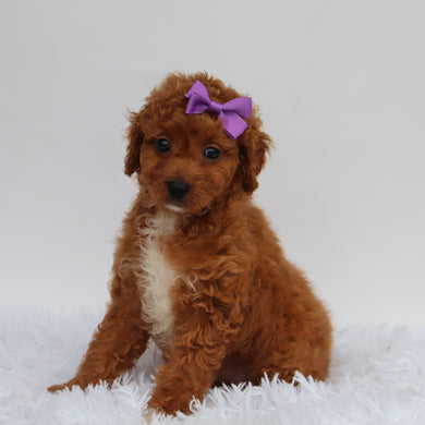 Katryn - Available 8/27
