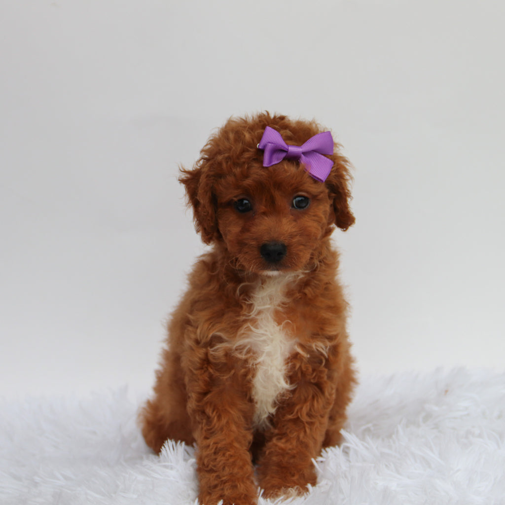 Katryn - Available 8/27