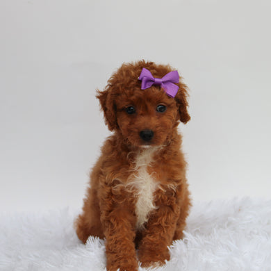 Katryn - Available 8/27
