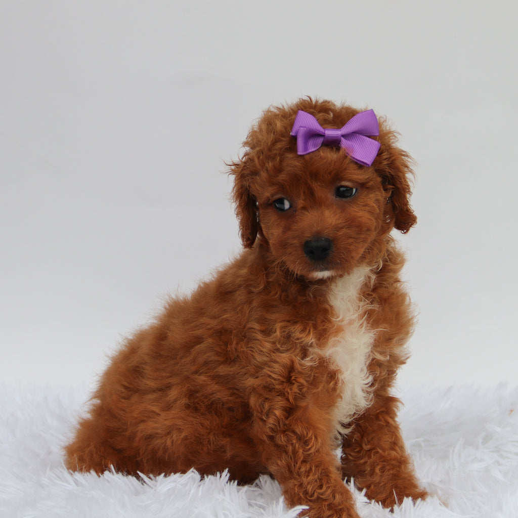 Katryn - Available 8/27