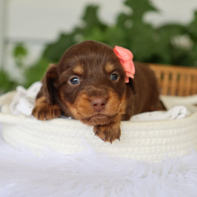 Mimi - Available 7/9