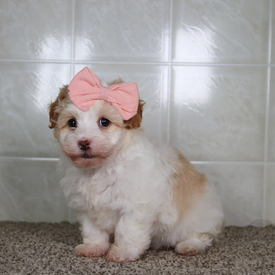 Reena - Available 5/14