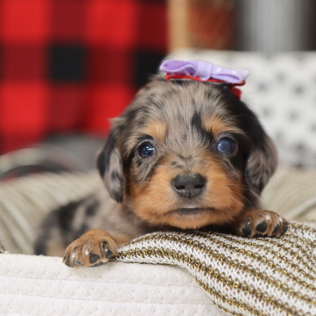 Samantha - Available 1/14