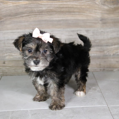 Karen - Available 5/21