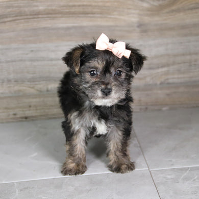 Karen - Available 5/21