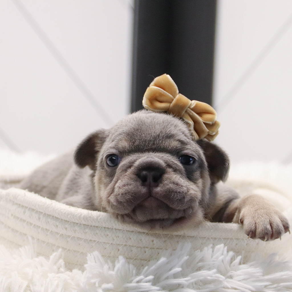 Kate - Available 2/4