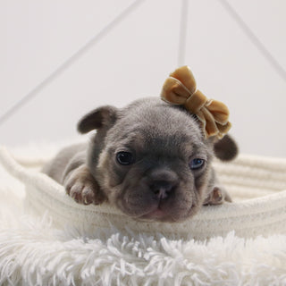 Kate - Available 2/4